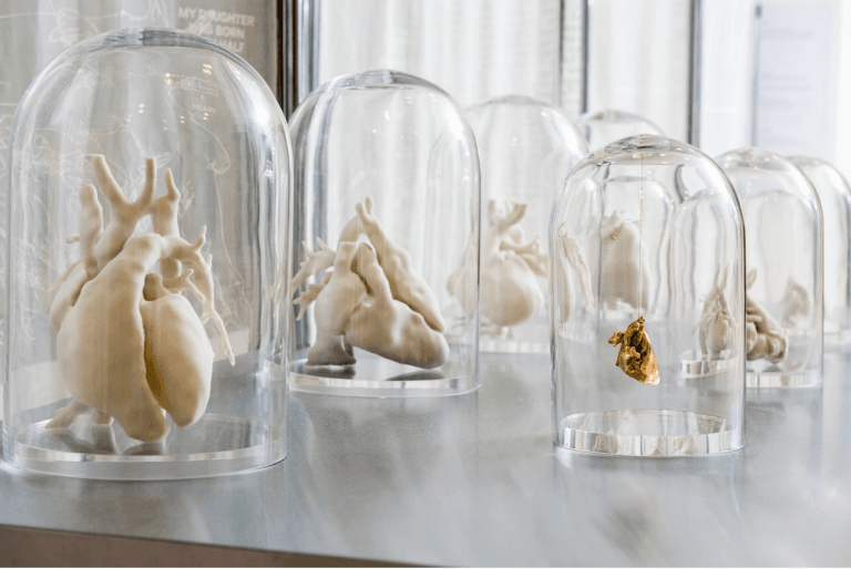 The Heart of the Matter – new art exhibition bringing together art & medicine opens in Bristol